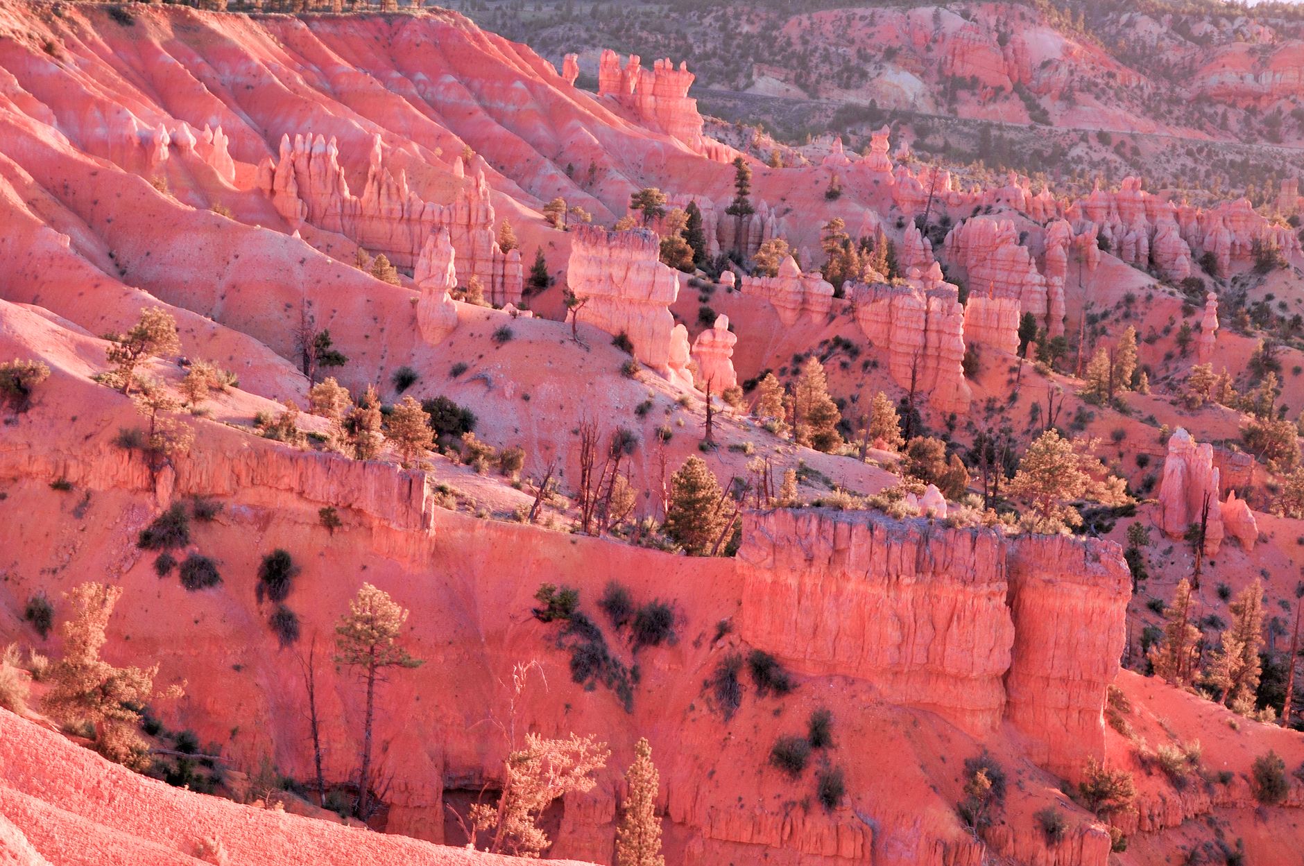 Stunning sunrise over Bryce Canyon's hoodoos showcasing vibrant, unique rock formations in Utah, USA.