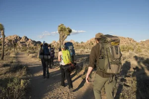 Four backpackers hiking down a dirt trail towards rocky outcrops on the horizon.