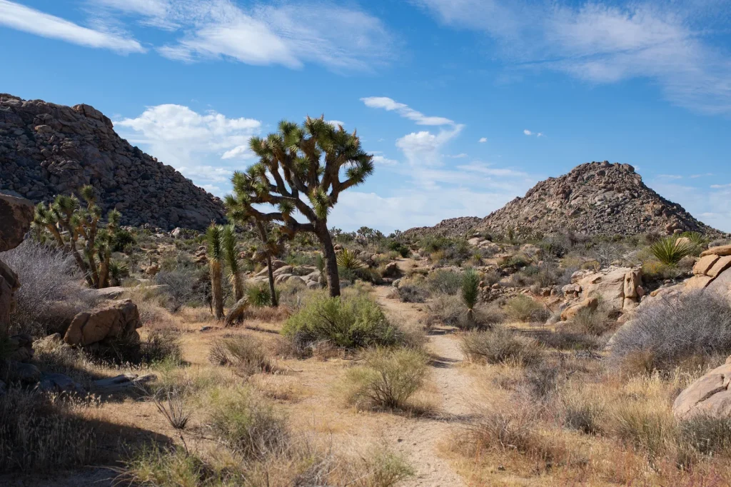 Maze Zone Backpacking