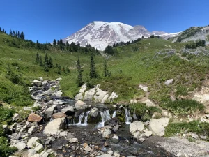 A creek tumbles through a lush green landscape, with a glacier-covered volcano in the background.