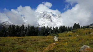 Clouds partly cover a glaciated mountain that rises above a meadow and forest.