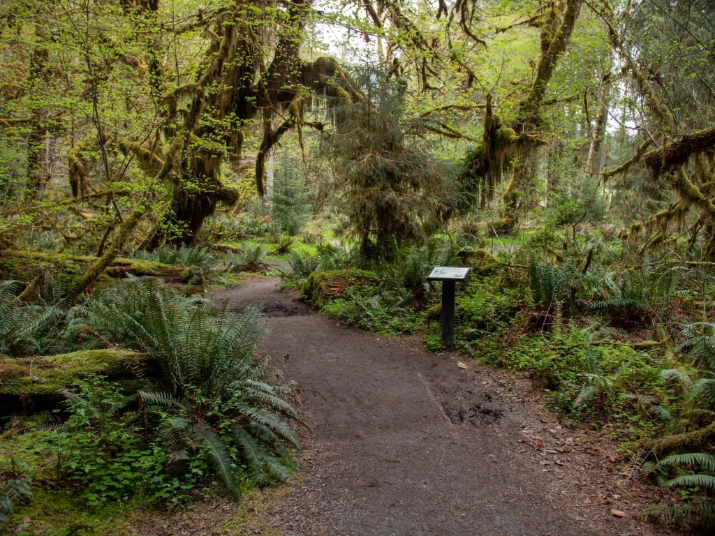 Spruce Nature Trail