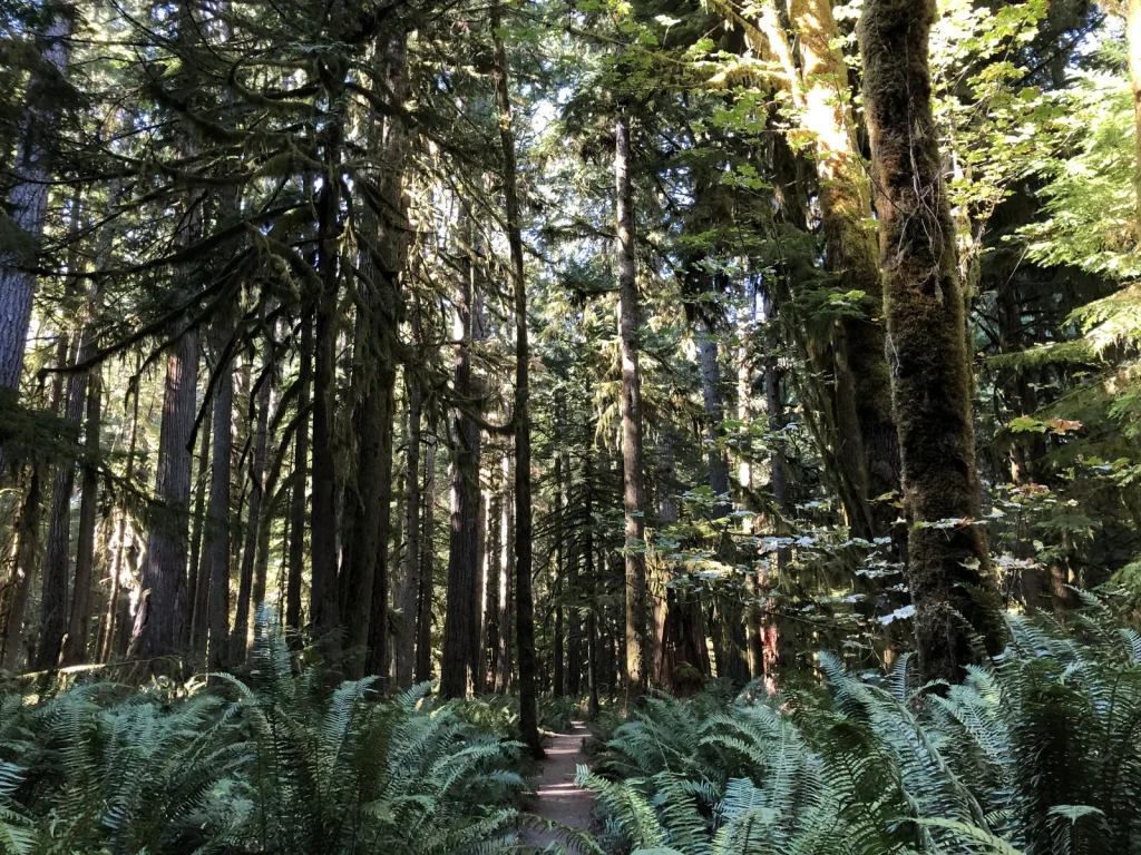 Walk the Moments in Time Trail