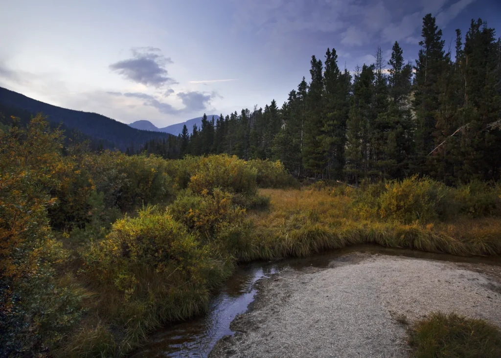 Beaver Ponds on Trail Ridge Road