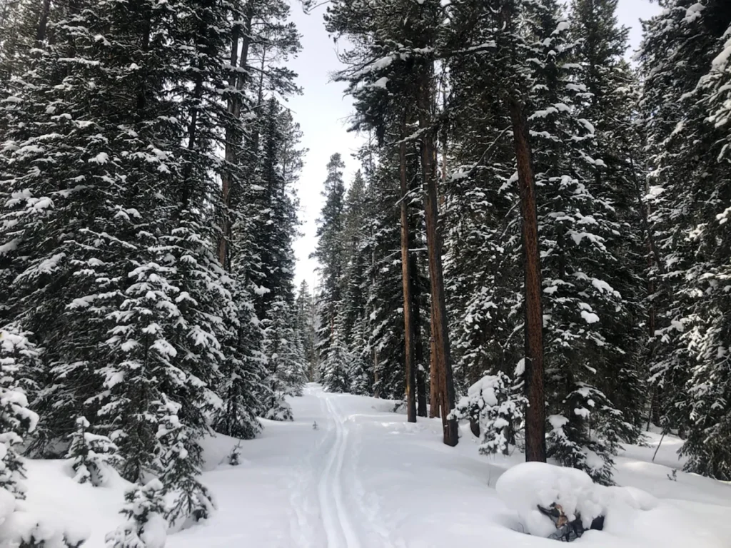Bannock Ski Trail