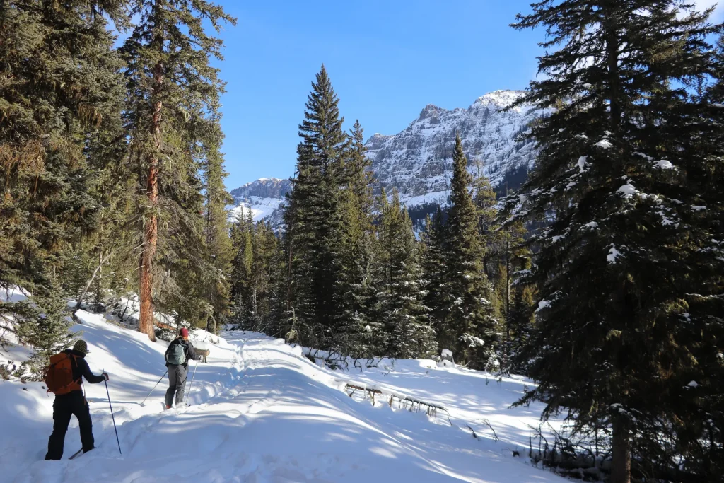 Barronette Ski Trail
