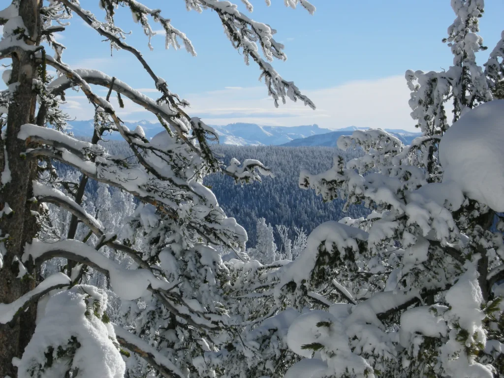 Bighorn Pass Ski Trail