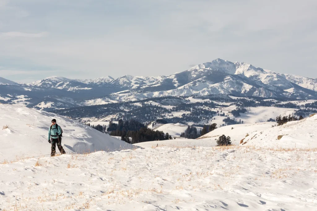 Blacktail Plateau Ski Trail