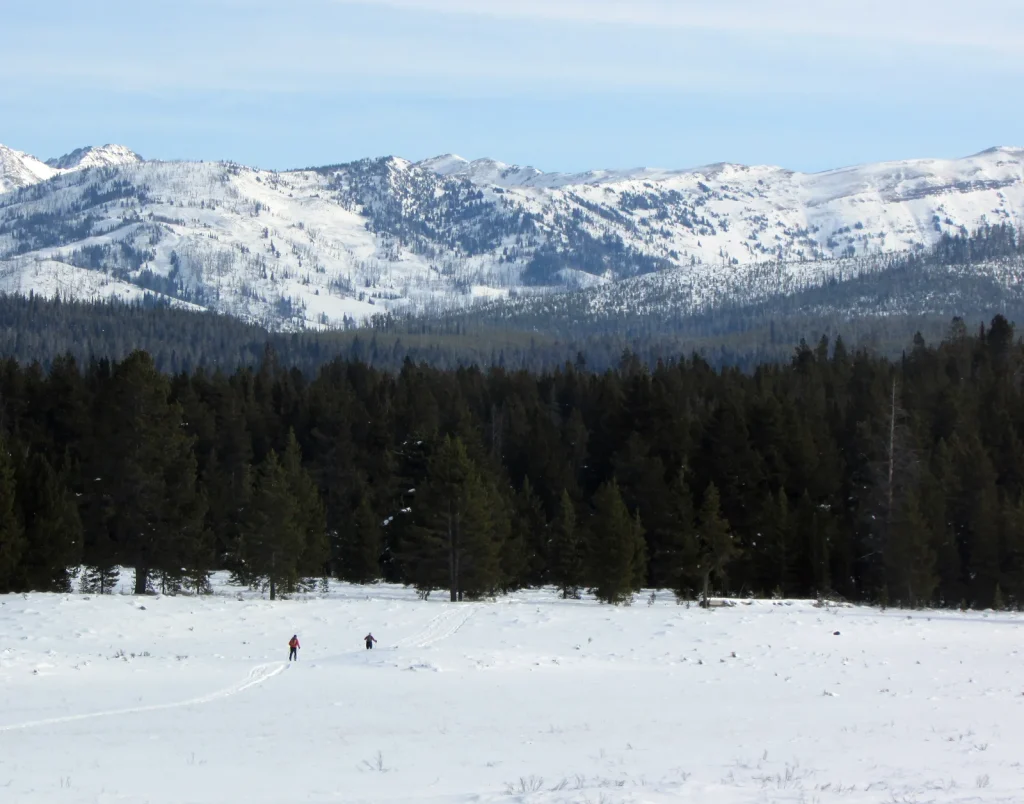 Fawn Pass Ski Trail