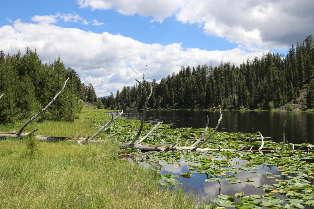Lost Lake Trail