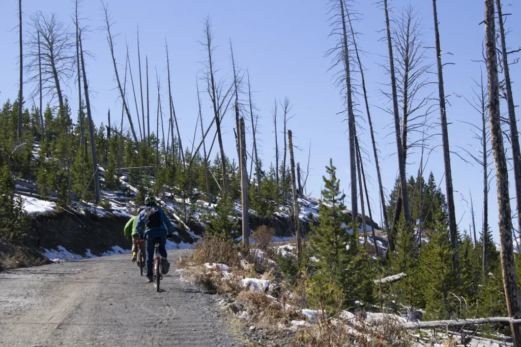 Mount Washburn Bike Trail