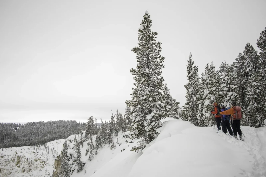 North Rim Ski Trail