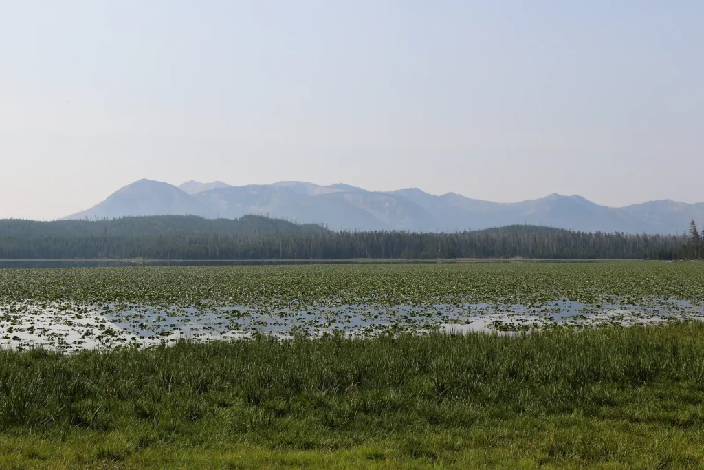 Riddle Lake Trail