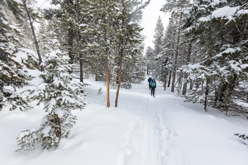 Snow Pass Ski Trail
