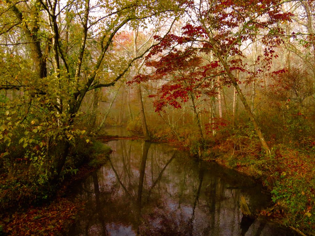 Abrams Creek Campground