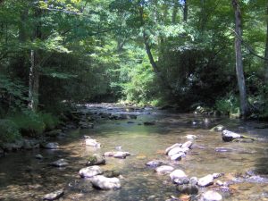 Bradley Fork near Smokemont Campground, Great Smoky Mountains