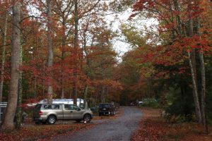 Cades Cove Campground, Great Smoky Mountains National Park