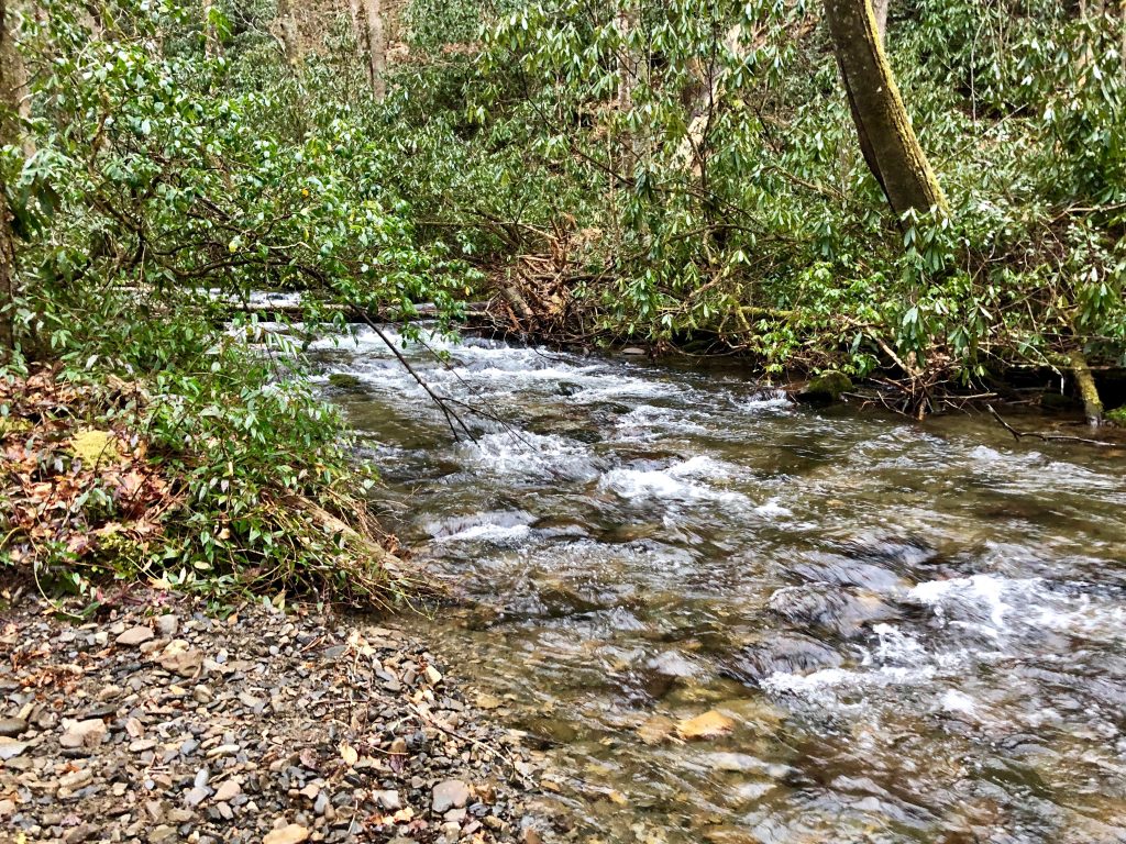 Cataloochee Campground