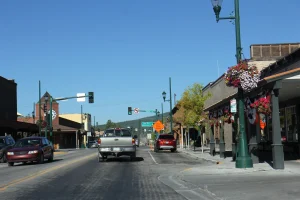 Whitefish