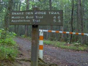 Snake Den Ridge trailhead at Cosby Campground, Great Smoky Mountains