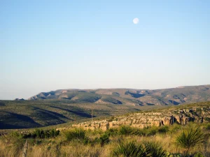 A photo of the Chihuahuan Desert along the Juniper Ridge Trail.