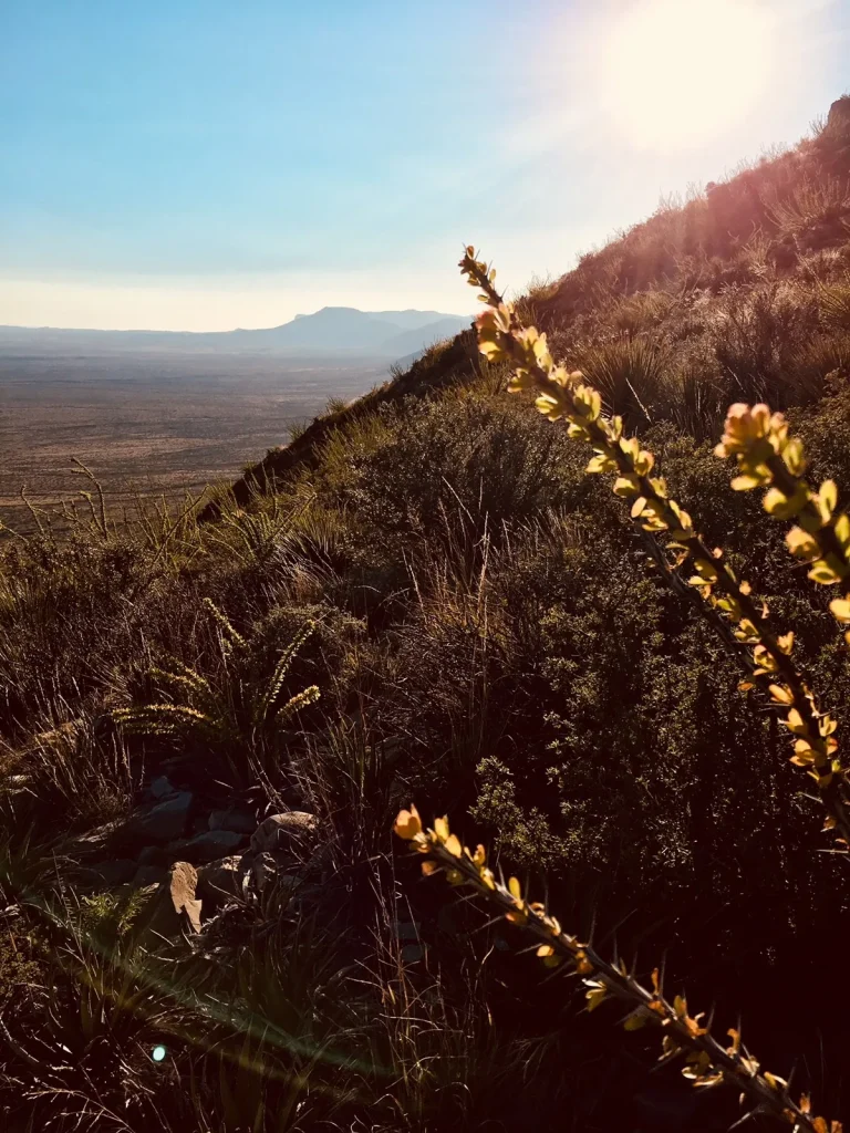 Yucca Canyon Trail