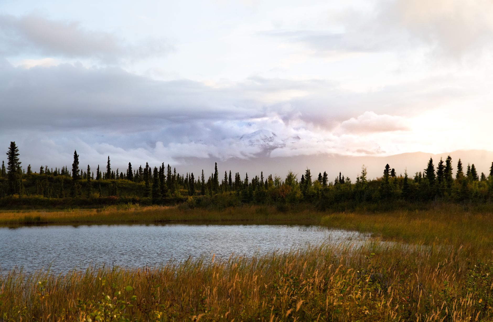 Picturesque Alaskan landscape featuring a serene lake, coniferous trees, and cloudy mountains.
