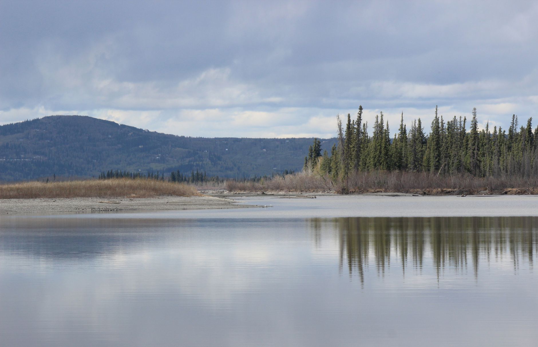 Tranquil landscape featuring a calm lake and evergreen forest under a cloudy sky in Fairbanks, Alaska.