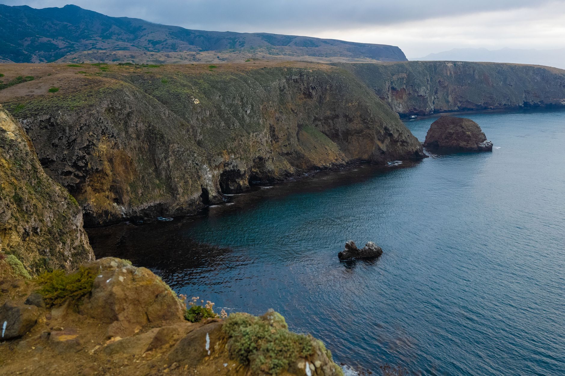 Explore the stunning rocky cliffs and serene ocean views of Santa Cruz Island's coastline.