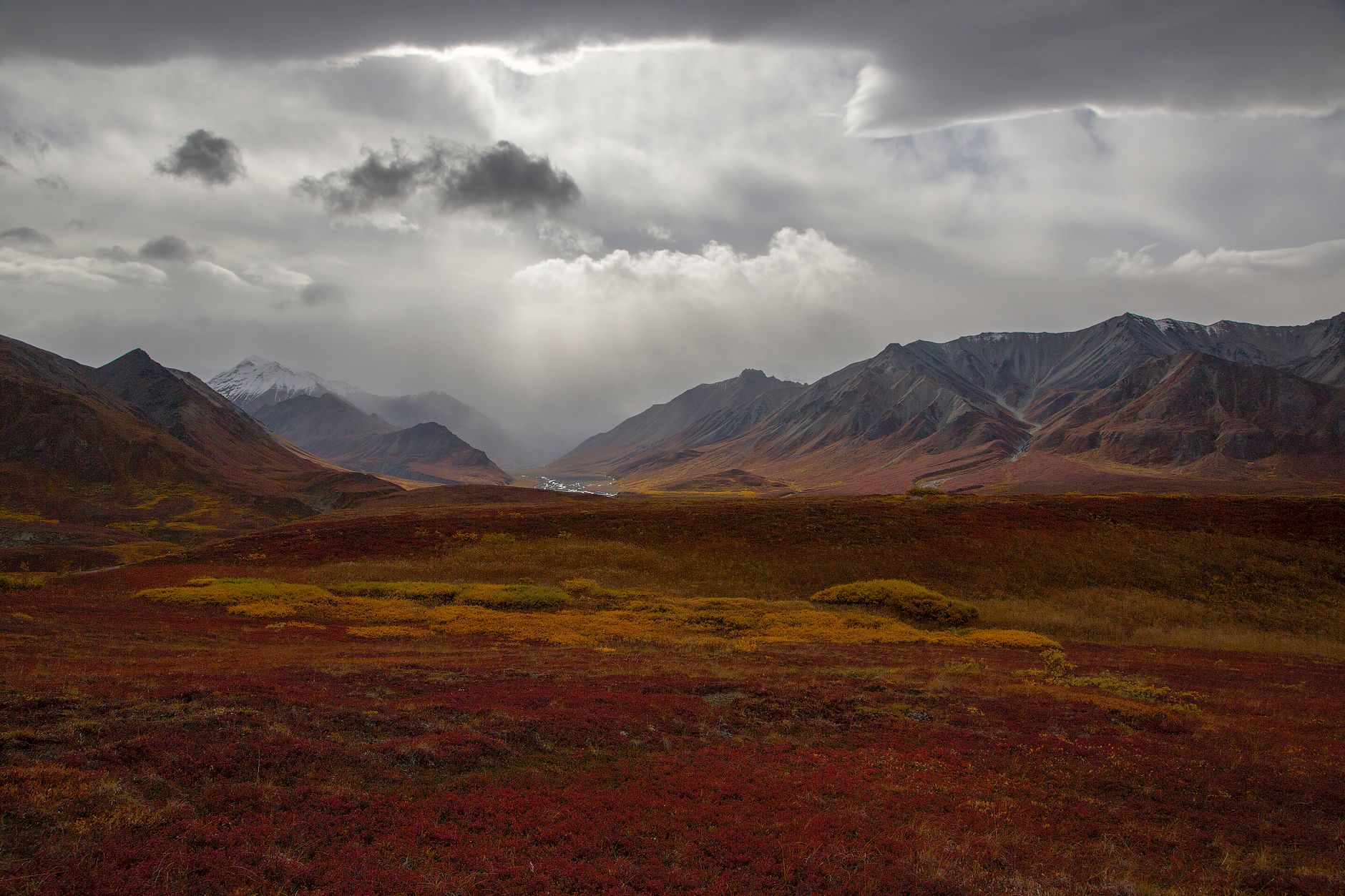 A stunning view of Alaskan mountains under an overcast sky with vibrant tundra colors in fall.