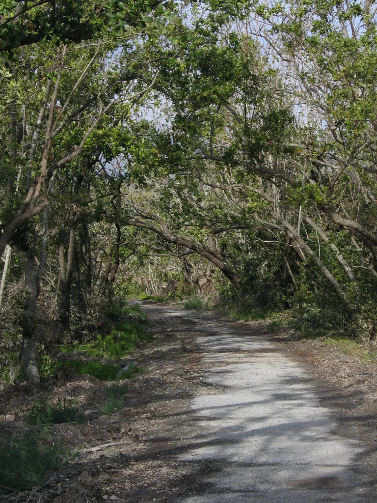 Guy Bradley Trail
