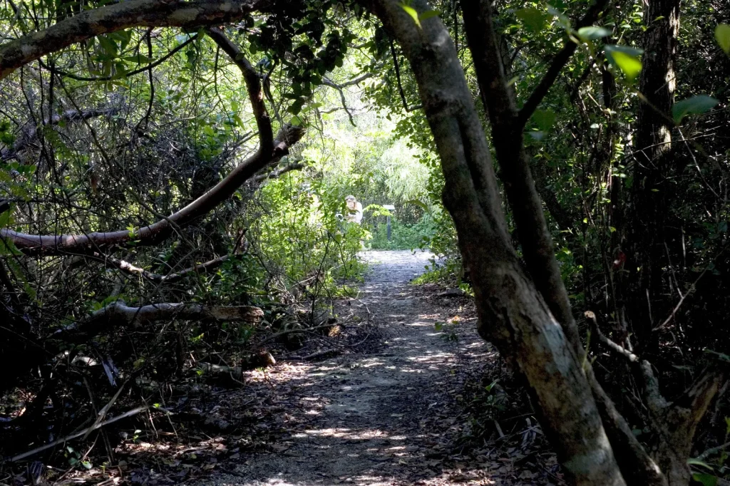 Otter Cave Hammock Trail