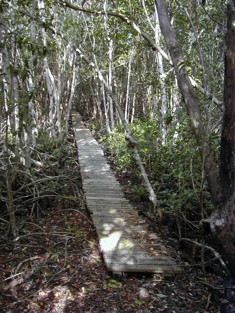 Sandfly Hiking Trail