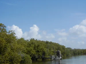 A wooden dock extends from a vegetated island into calm water. A brown portable toilet sits on dock.
