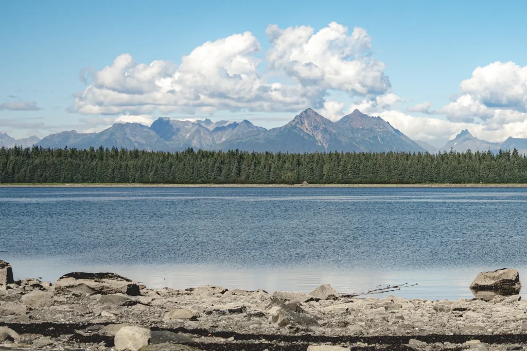 Beartrack Mountains