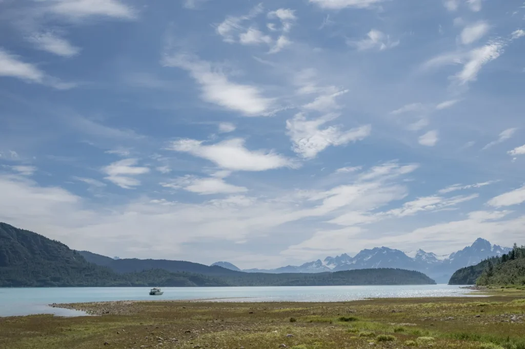 Muir Inlet
