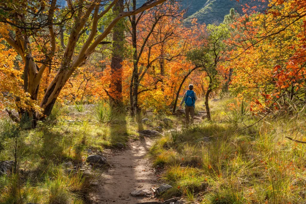 Hike to Fall Colors