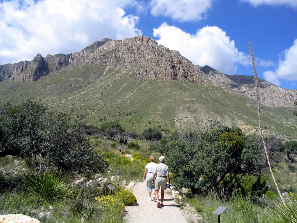 Pinery Trail