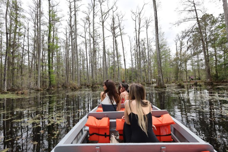 Experience a tranquil boat ride through a serene swamp landscape in South Carolina.