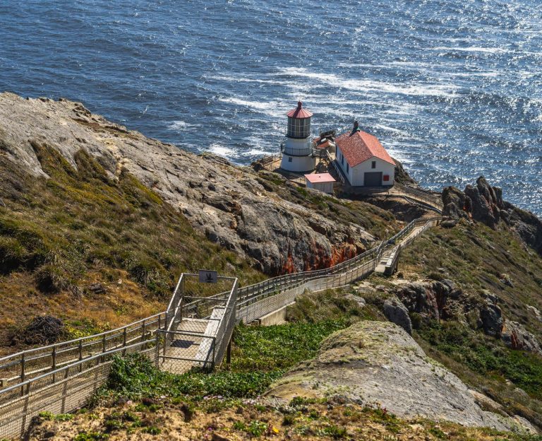 One Day on Anacapa Island: Channel Islands Day Trip Itinerary