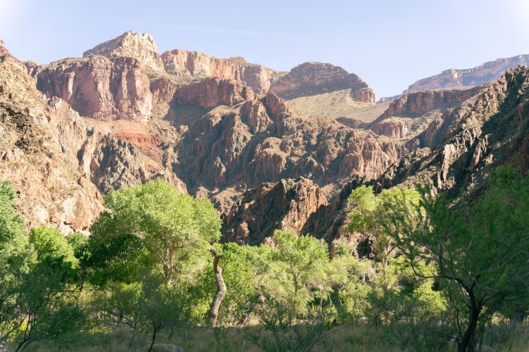 Breathtaking landscape of Grand Canyon from the North Rim in Arizona, USA.