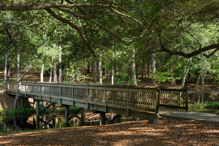 Discover a tranquil scene with a wooden bridge in a lush park in Columbia, South Carolina.
