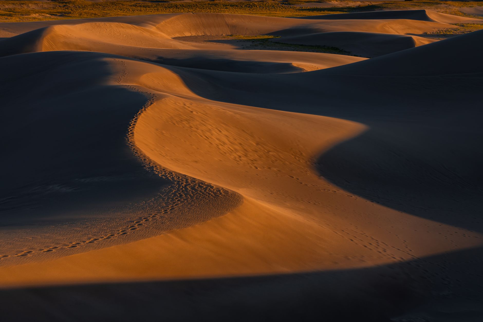 Majestic sand dunes in Colorado captured during sunset, showcasing stunning golden hues and textures.