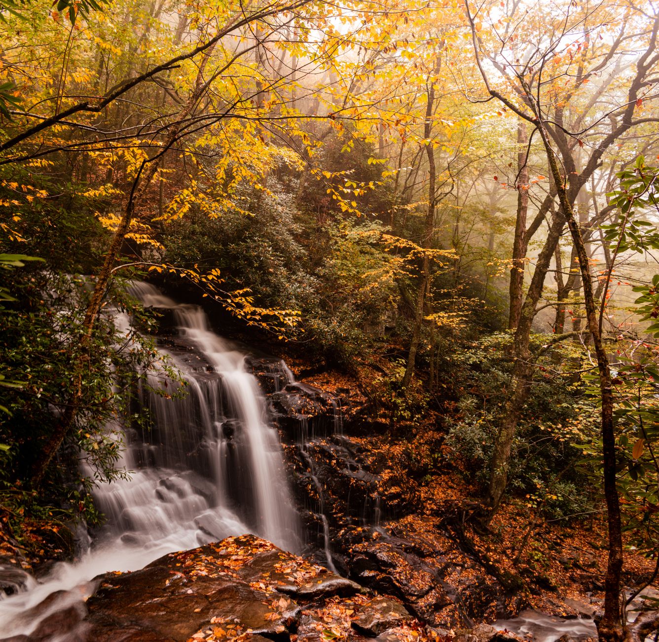 Beautiful autumn waterfall in Smoky Mountains, surrounded by vibrant fall foliage and misty forest.