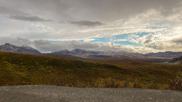 One Day in Denali National Park