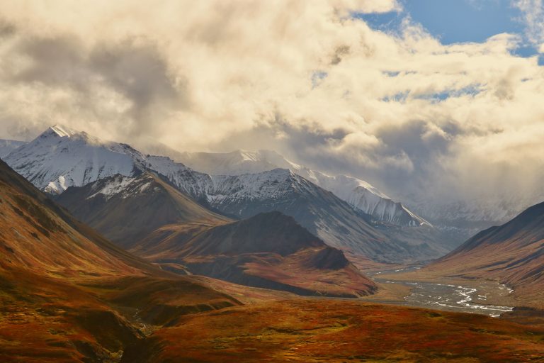 Three Days in Denali National Park