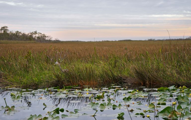 4-Day Everglades National Park Itinerary
