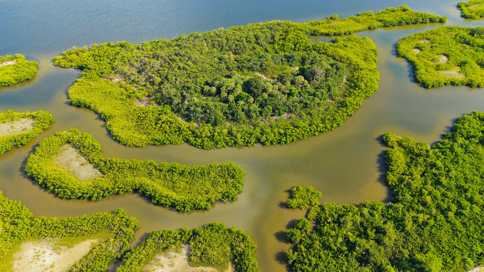 Explore this stunning aerial view of a lush green mangrove island surrounded by water in Florida.