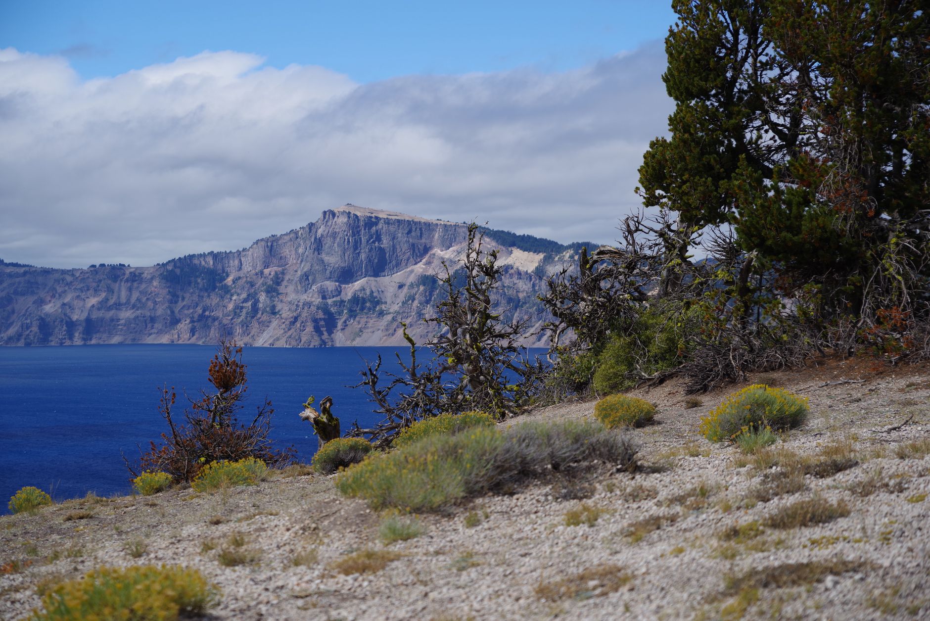 Beautiful landscape of Crater Lake with rugged mountains and trees.