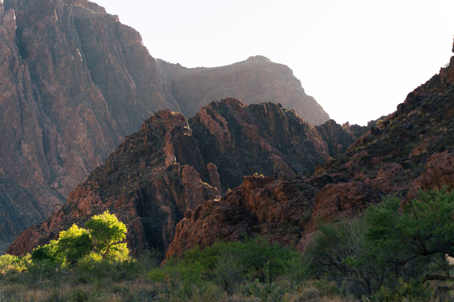 Breathtaking view of the Grand Canyon's rugged terrain and vibrant foliage during sunset in Arizona, USA.